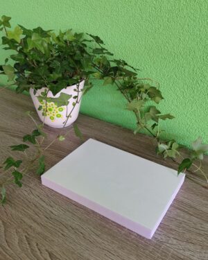 Kinusaiga lege foamblokken