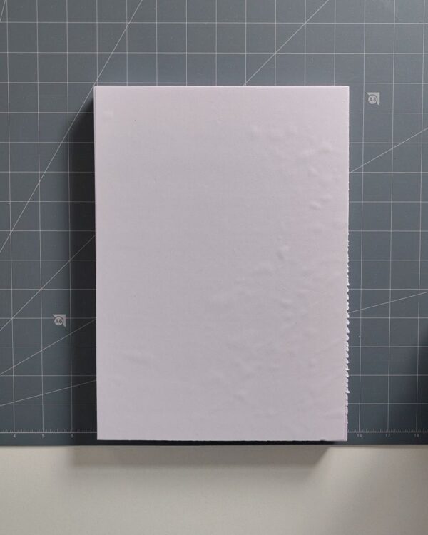 Kinusaiga lege foamblokken